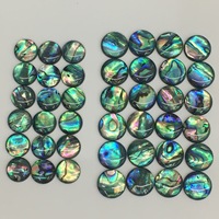 Cabochon en coquille d'ormeau Paua ronde, revêtu d'époxy, en forme de dôme, dos plat, 6/18mm, pour incrustation de bijoux DIY (bagues, boucles d'oreilles), vente en gros