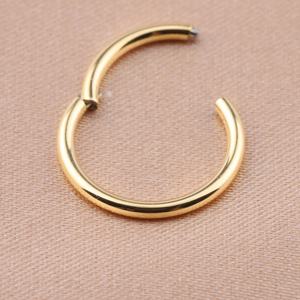 Anillo <span class=keywords><strong>de</strong></span> <span class=keywords><strong>titanio</strong></span> con segmento <span class=keywords><strong>de</strong></span> bisagras para <span class=keywords><strong>nariz</strong></span>, diseño <span class=keywords><strong>de</strong></span> aro dorado para <span class=keywords><strong>nariz</strong></span>, <span class=keywords><strong>Piercing</strong></span> corporal a granel - Product Image 6