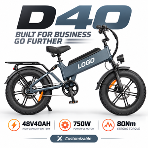 Vélo électrique à pneus larges D40 750W 48V40AH 80N·m Capacité de montée 45° °   Trottinette électrique OEM à vitesse unique et faible entretien - Product Image 1