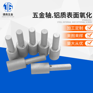 Jetto Aluminum Oxide Shaft Metal Axis Customized For Industrial Use - Product Image 1