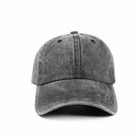 Op Maat Gemaakte Gepersonaliseerde Zachte Sport Baseballpet Bedrukt Dot Fruit Argyle Patronen Gebogen Dobby Hoed