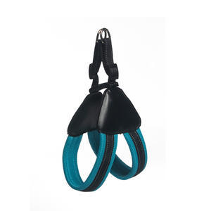 Correa de Paseo para Perros Personalizada, Acolchada, de Poliéster, con Arnés Triangular de Moda, Estilo Collar para Mascotas, para <span class=keywords><strong>Malinois</strong></span> y Golden Retriever - Product Image 4