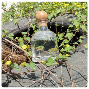 Small MOQ Factory <strong>Price</strong> 375ml Plastic <strong>Tequila</strong> Bottle Reusable Christmas <strong>Patron</strong> Cups with Straw for Party Occasions - Product Image 4