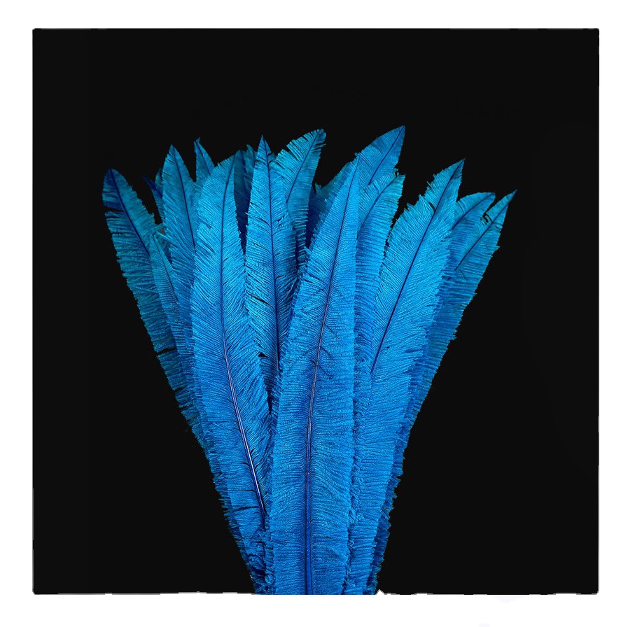 Azul