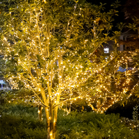 Lumières de Noël de haute qualité pour la décoration de Noël, 110V, pour l'intérieur et l'extérieur, pour les fêtes, les mariages, le Nouvel An