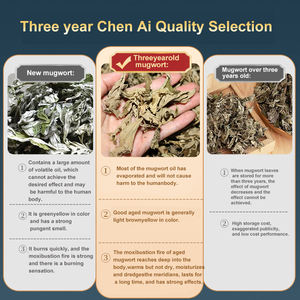 JIHE-TCM YL50011 卸売 10:1 500g 純緑灸草 パンクボディ用 抗リウマチ作用 循環改善 CE - Product Image 4