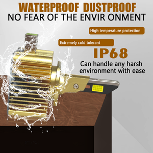 Fabbrica Canbus D1S LED faro D serie Canbus LED luce ad alta potenza 110W D2S D3S D4S D5S D8S D1S HID Denon lampadine auto - Product Image 5