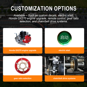 Kart à essence certifié CE TSKART pour adultes, kart de loisirs à <span class=keywords><strong>moteur</strong></span> pour piste de <span class=keywords><strong>karting</strong></span>, location de kart pour club <span class=keywords><strong>avec</strong></span> <span class=keywords><strong>moteur</strong></span> 200CC - Product Image 3