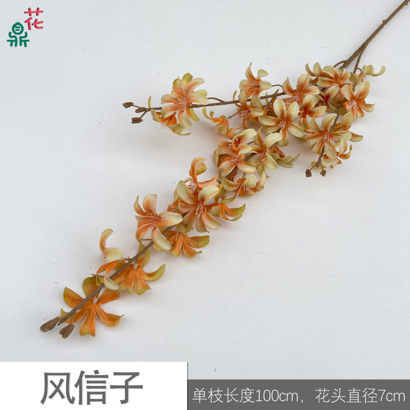 Hyacinth sk orange