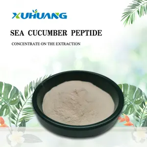 Sea Cucumber Capsule/dried Sea Cucumber/sea Cucumber Extract Powder