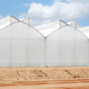 Invernaderos Agrícolas Multi-Span al por Mayor, Película Transparente de PE de Doble Capa, Larga Duración, Engrosada, Tamaño Personalizable, Sin Goteo - Product Image 1