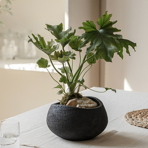 กระถางต้นไม้สไตล์โบฮีเมียนย้อนยุค ทำจากดินแมกนีเซียม ตกแต่งห้องสไตล์โมเดิร์น นุ่มนวล  แบบวาบิซาซิ  ระบายอากาศได้ดี สำหรับปลูกต้นไม้สีเขียว - Product Image 2