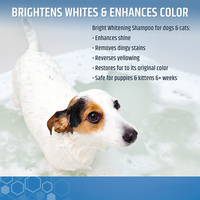 Shampooing pour chiens White Label, naturel, sans larmes, protéiné, éclaircissant, pour poils clairs, shampooing pour animaux de compagnie pour chiens et chats à poils noirs