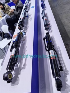 Sản xuất trực tiếp bán thủy lực chỉ đạo xi lanh cho xe nâng, gỗ craper, thang máy, mặt bích Trailer, tipper xe tải, loader - Product Image 4