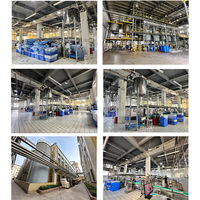 Prix Usine 1L-5L Puissant Détachant Bio Nettoyant Liquide Lessive Fabricant