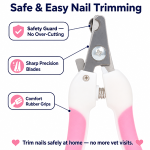 Brosse professionnelle écologique en acier inoxydable pour animaux de compagnie, à picots fins et arrondis, pour un démêlage doux et une élimination efficace du sous-poil. - Product Image 4