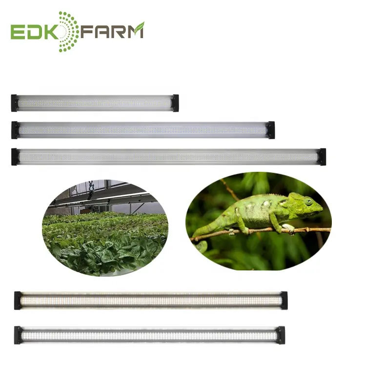 indoor gardening hydroponic system bulbs high power led plant grow light strip