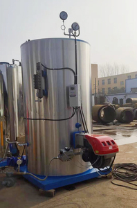 Générateur de vapeur au gaz, combustible à granulés de biomasse, chaudière à vapeur portable pour sauna - Product Image 4