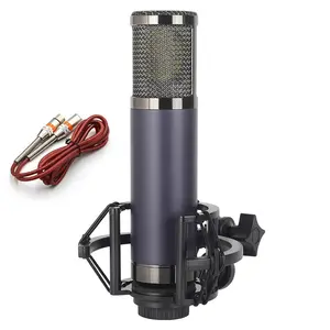 ISong YF22 48V 34MM Enping Pro Condenser Microphone 16mm gold coated for Live recording instrument recording and broadcasting