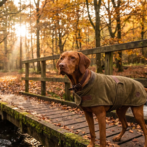 Giacca Autunnale per Cani a 4 Zampe in Corduroy Hunter - Fine-Wale - Product Image 5