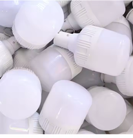 Ampoule LED en forme de T 30W pour le camping et la maison, B22/E27, rechargeable par USB, éclairage d'urgence en plastique