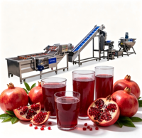 Complete volautomatische mango-granaatappelsap productielijn met suikermeng- en blikvulmachine