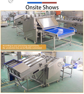 Machine commerciale de découpe de têtes et de queues de carottes 1000 kg/h, ligne de découpe et de finition des extrémités de carottes et de radis pour usine de transformation - Product Image 4