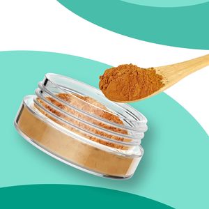 Petits contenants d'échantillons en plastique vides 2g 3g 5g, mini-pots pour baume <span class=keywords><strong>à</strong></span> <span class=keywords><strong>l</strong></span>èvres avec couvercles, pour poudre de maquillage, paillettes, cire cosmétique, crème - Product Image 4
