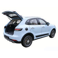 Venta al por Mayor de Mini Vehículos Eléctricos Personalizados, Vehículo Eléctrico SUV, Mini Vehículos Eléctricos para Adultos