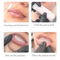 30 pièces/boîte Tampons buccaux jetables, Patchs d'isolement pour tatouage des lèvres, Tampons de coton pour tatouage des lèvres, Accessoires de maquillage permanent pour pigments labiaux
