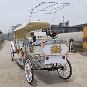 Electric Sightseeing Carriage White Simple Classic Wedding Decoration Multi-occasion Sightseeing Carriage Sells Well - Product Image 4
