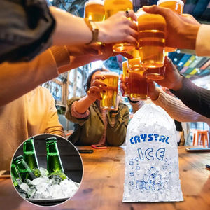 Lot de 100 sacs à glaçons transparents imprimés avec cordon de serrage, grande capacité, multi-usages, pour la maison - Product Image 5