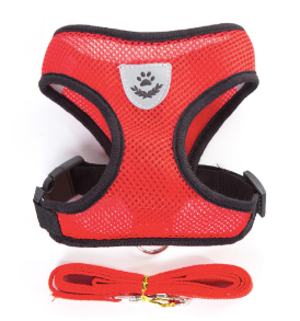 Arnés y Correa Transpirable de Malla para Mascotas, Arnés y Correa para Perros y Gatos - Product Image 5
