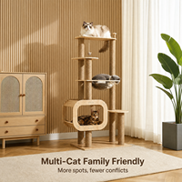 Arbre à chat tout-en-un avec capsule spatiale, tour pour chat d'intérieur pour chats grands et petits