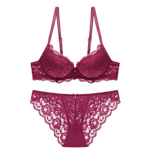 Ensemble de lingerie féminine romantique en dentelle florale avec soutien-gorge à armatures et culotte bikini, bretelles réglables, bonnet complet, push-up, grandes tailles - Product Image 4