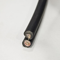 1, 5 mm2 2, 5 mm2 4 mm2 6 mm2 10 mm2 16 mm2 25 mm2 35 mm2 verzinntes Kupfer-Gleichstrom-PV-Photovoltaik-Solar kabel für Sonnen kollektoren