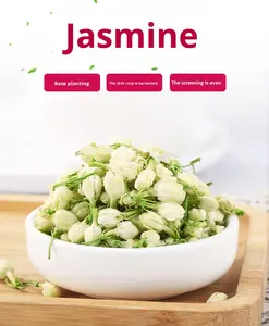 بيع بالجملة من الشركة المصنعة شاي الياسمين الطازج المجفف فضفاض نصف مفتوح شاي الياسمين مخزون جديد صالح للأكل بكميات كبيرة - Product Image 3