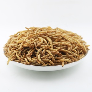 Bioforte OEM Gusanos de harina amarillos orgánicos secos, altos en proteínas, sin olor, esterilizados por microondas, sin cereales, alimento para pollos, patos, aves y mascotas - Product Image 5