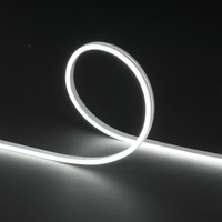 Bande LED néon flexible personnalisable 6x12mm 24V 20m à courant constant, sans chute de tension, étanche IP67, en silicone, certifiée CE ROHS