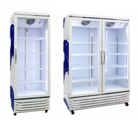 Nuevo Enfriador de Bebidas LG-468 F, Refrigerador Exhibidor de Bebidas con Puerta de Vidrio Simple para Supermercados y Hoteles