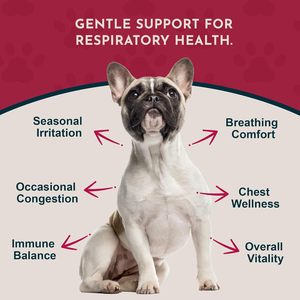 Suplemento Herbal de Raíz de <span class=keywords><strong>Regaliz</strong></span> Breathe EZ de Animal Essentials para Perros y Gatos, 1 Onza Líquida, Apoya la Salud Inmunológica y Respiratoria - Product Image 4