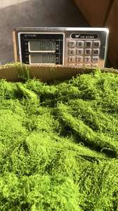 Q-1311 Kunstmosgras Natuurlijk Kunstmatig Zacht Mos Kunstmos Voor Wanddecoratie Woondecoratie - Product Image 6