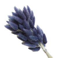 天然干兔尾草 萨格鲁斯兔尾草茎 家居装饰 婚礼 母亲节装饰 蓬松持久 不散装
