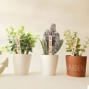 Etiquetas y Estacas de Madera Personalizadas para Plantas de Jardín - Marcadores de Vivero para Jardinería y Promociones - Product Image 2