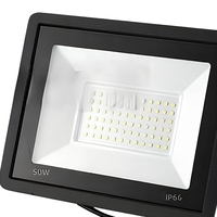Projecteur LED ultra-lumineux 50W IP66 étanche en forme de pomme pour extérieur, large plage de tension, pour jardin et aménagement paysager