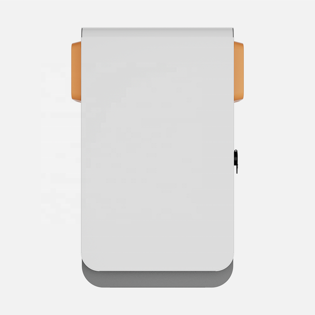 IP55 Steel Wall Mount Pole Mount Cabinet Junction Box Outdoor Camera case Outdoor Waterproof Electrical Box Battery Box