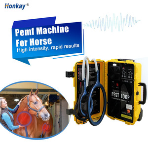 Anneau magnétique PEMF vétérinaire, appareil haute puissance pour la réduction de l'inflammation chez les chevaux et la récupération de la fatigue musculaire - Product Image 1