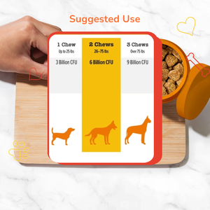 OEM/ODM Köpek ve Kedi Kalça Eklemi Takviyesi Glukozamin Kondroitin MSM Eklem Ağrısı Giderici |   Mobility Çiğneme Vitaminleri C + E Tahılsız - Product Image 6