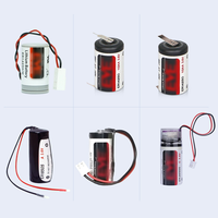 Batterie au lithium chlorure de thionyle ER14505 3,6 V 2700 mAh avec fils et connecteurs pour compteur intelligent, PLC, encodeur servo