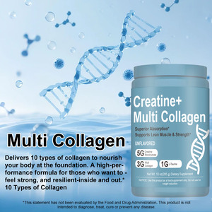 고품질 크레아틴+ 멀티 콜라겐 남녀공용 무설탕 뛰어난 흡수율, 근육량 및 근력 증진 지원 285g OEM/ODM - Product Image 3